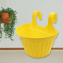 Multicolor Hanging Plastic Planters Orchid Relling , For Plantation, Planters for Balcony and Home Gardening, Indoor, Outdoor (1 Pc ) - Goyaldeal.com
