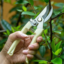 Stainless Steel Pruning Shears with Sharp Blades and Comfortable handle - Durable Hand Pruner for Comfortable and Easy Cutting, Heavy Duty Gardening Cutter Tool Plant Cutter for Home Garden | Wood Bran (1 Pc) - Goyaldeal.com