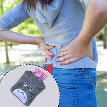 Totoro Cartoon Small Hot Water Bag with Cover for Pain Relief - Goyaldeal.com
