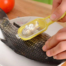 Effortless Fish Cleaning: Scraper, Grater & Brush in One (1 Pc) - Goyaldeal.com