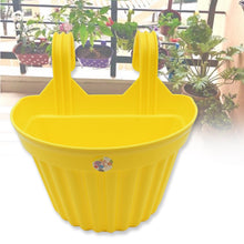 Multicolor Hanging Plastic Planters Orchid Relling , For Plantation, Planters for Balcony and Home Gardening, Indoor, Outdoor (1 Pc ) - Goyaldeal.com