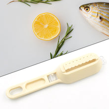Effortless Fish Cleaning: Scraper, Grater & Brush in One (1 Pc) - Goyaldeal.com