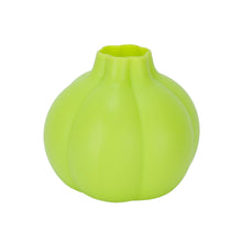 Silicone Ginger Garlic Manual Peeler - Goyaldeal.com