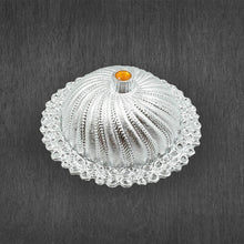 Multipurpose Dry Fruit Box with Lid – Mukhvas Storage & Serving Box – Stylish Kitchen Storage Container (1 Pc) - Goyaldeal.com