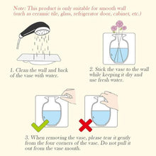 Wall Hanging Silicone Flower Pot Sticker Plant Rack for Decoration  (MultiColour) - Goyaldeal.com