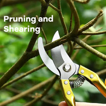 Gardening Tools - Garden Shears Pruners Scissor (1 Pc) - Goyaldeal.com