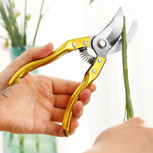 Gardening Tools - Garden Shears Pruners Scissor (1 Pc) - Goyaldeal.com