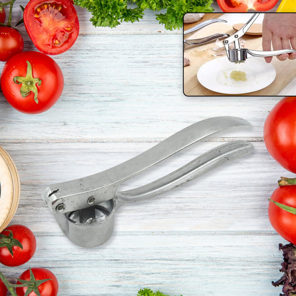 Crush Garlic with Ease: Lightweight Aluminum Garlic Press (1 Pc) - Goyaldeal.com