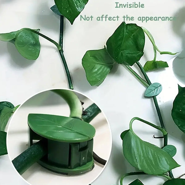 Plant Climbing Wall Fixture Clip Self-Adhesive Hook Vines Traction Invisible Stand Green Plant Clip Garden Wall Clip Plant Support Binding Clip Plants for Indoor Outdoor Decoration (30 Pcs Set) - Goyaldeal.com