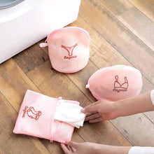 5pc Zippered Mesh Laundry Wash Bags Foldable Delicates Lingerie Socks, Underwear Blouse, Hosiery, Stocking and Lingerie Washing Machine Clothes Protection Net (5 Pc Set) - Goyaldeal.com