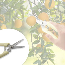 Garden Pruning Shears with Anti-Slip Handle Labor-Saving Fruit Tree Pruning Shears - Goyaldeal.com