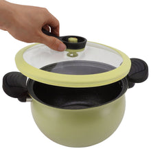 Pressure Cooker Valve & Handle (1 Pc): Replacement Parts, Kitchen Tool - Goyaldeal.com