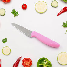 Sharp Fruit Knife (Stainless Steel, Comfortable Grip): 1 Pc - Goyaldeal.com