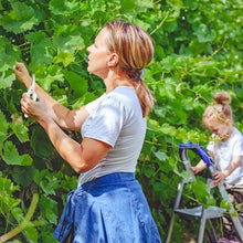 Garden Pruning Shears with Anti-Slip Handle Labor-Saving Fruit Tree Pruning Shears - Goyaldeal.com