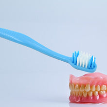 2-in-1 Soft Toothbrush & Tongue Cleaner for All Ages (1 Pc, With Cover) - Goyaldeal.com