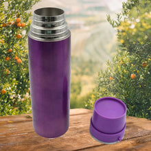 Stainless Steel Water Bottle Leak Proof, Rust Proof, Hot & Cold Drinks, Gym Sipper BPA Free Food Grade Quality, Steel fridge Bottle For office / Gym / School (500 ML Approx) - Goyaldeal.com