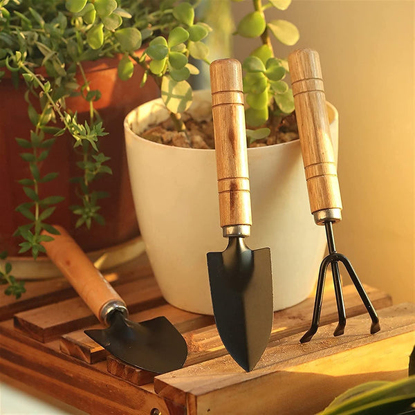 Small sized Hand Cultivator, Small Trowel, Garden Fork (Set of 3) - Goyaldeal.com