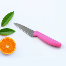 Sharp Fruit Knife (Stainless Steel, Comfortable Grip): 1 Pc - Goyaldeal.com