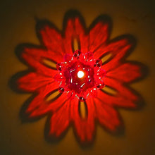 Candle Cup with Multi Shape  (Multicolor) (12 Pcs Set) - Goyaldeal.com