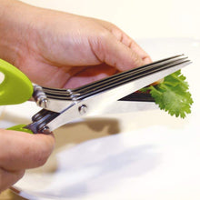 Multifunction Vegetable Stainless Steel Herbs Scissor with 3 Blades - Goyaldeal.com