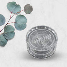 Multi-use Transparent Garlic Press Cutter Mincer Grinder Crusher, Manual Plastic Garlic Press Peeler Crusher Masher Twist Kitchen Useful Tool Garlic Room Kitchen Tool - Goyaldeal.com