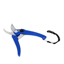 Stainless Steel Garden Scissors - Goyaldeal.com