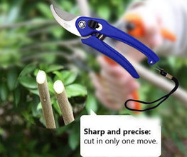 Stainless Steel Garden Scissors - Goyaldeal.com
