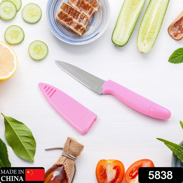 Sharp Fruit Knife (Stainless Steel, Comfortable Grip): 1 Pc - Goyaldeal.com